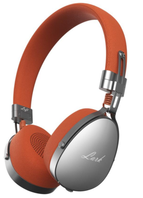 FB ANC Headphone with Dual MIC ENC